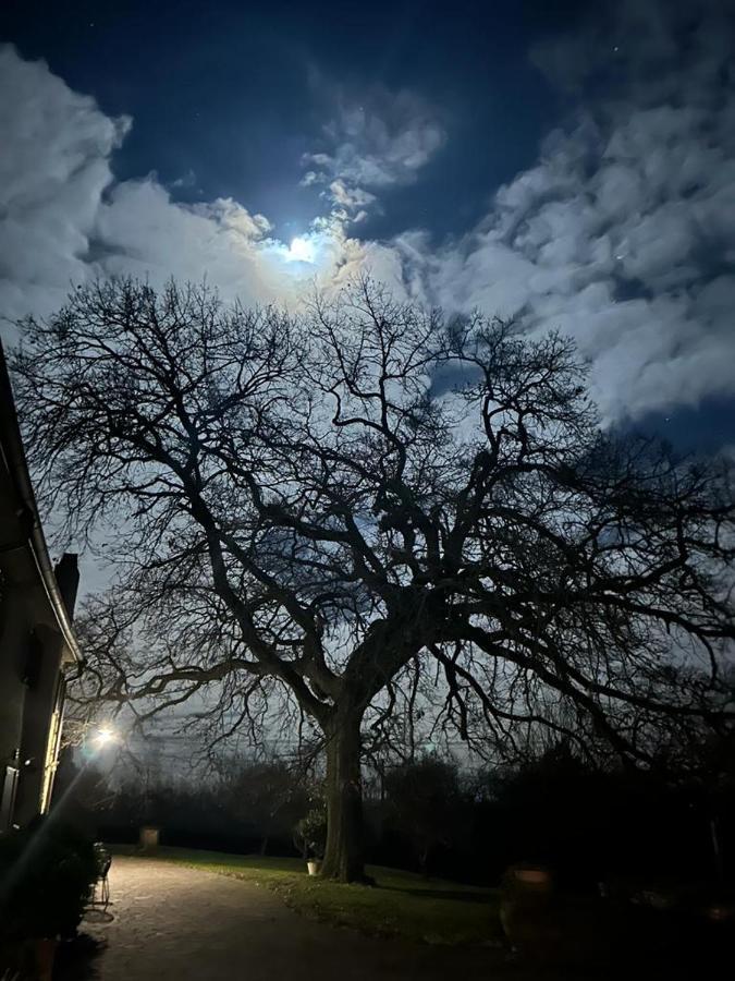 Podere il Giurato Fauglia Esterno foto