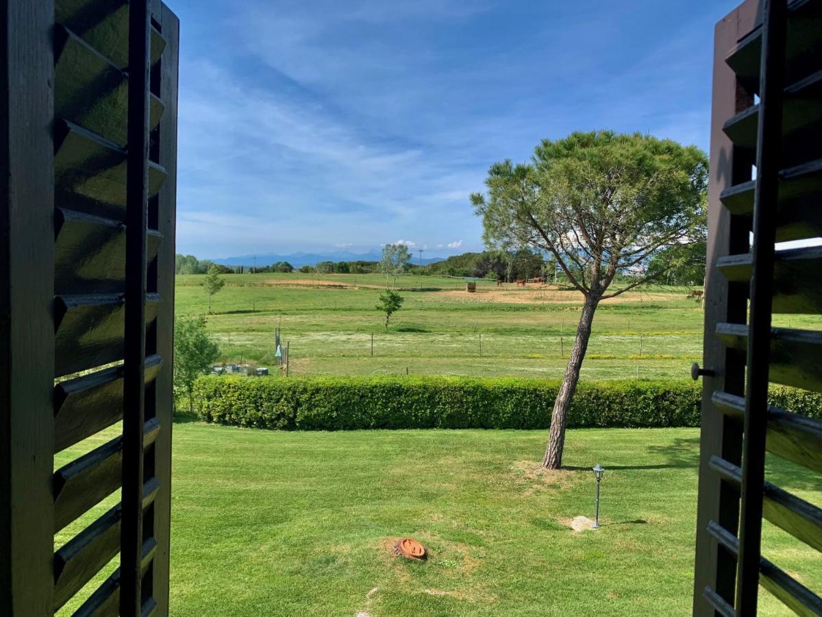 Podere il Giurato Fauglia Esterno foto