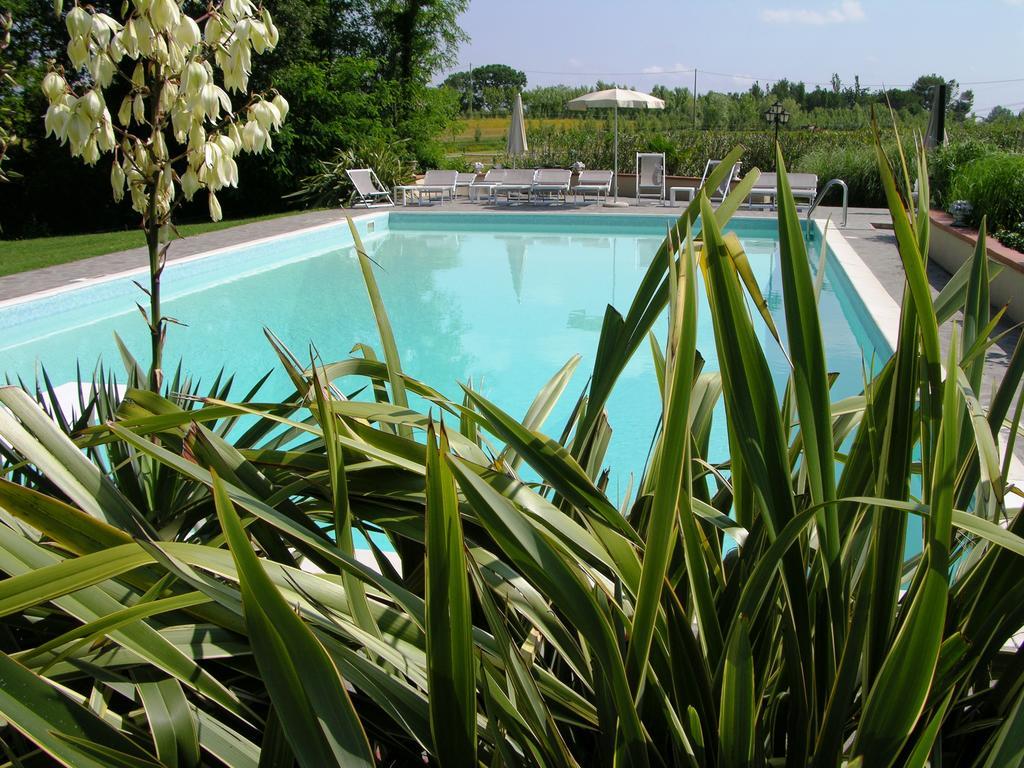 Podere il Giurato Fauglia Esterno foto