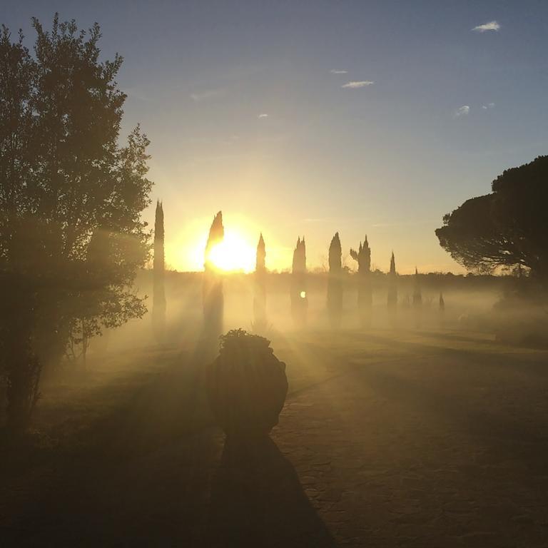 Podere il Giurato Fauglia Esterno foto